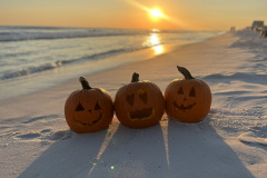 Pumpkins-1-