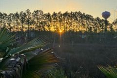 Sunrise-Over-the-Preserve