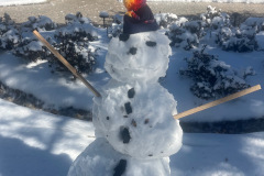 Sandestin-Snowman