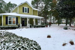 snow-and-green-house