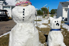 snow-dogwalker