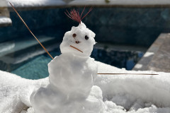 tiny-snowman